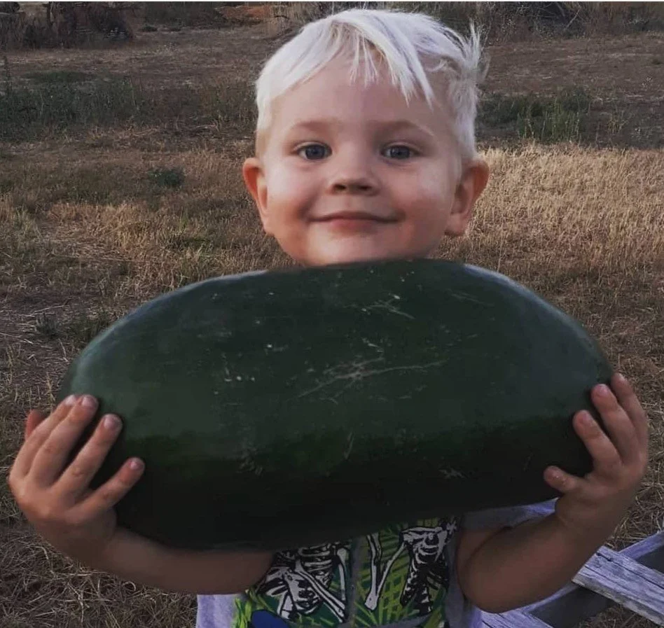 Ancient Watermelon