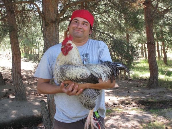 A man in a red bandana holding a large speckled chicken outdoors in a wooded area.