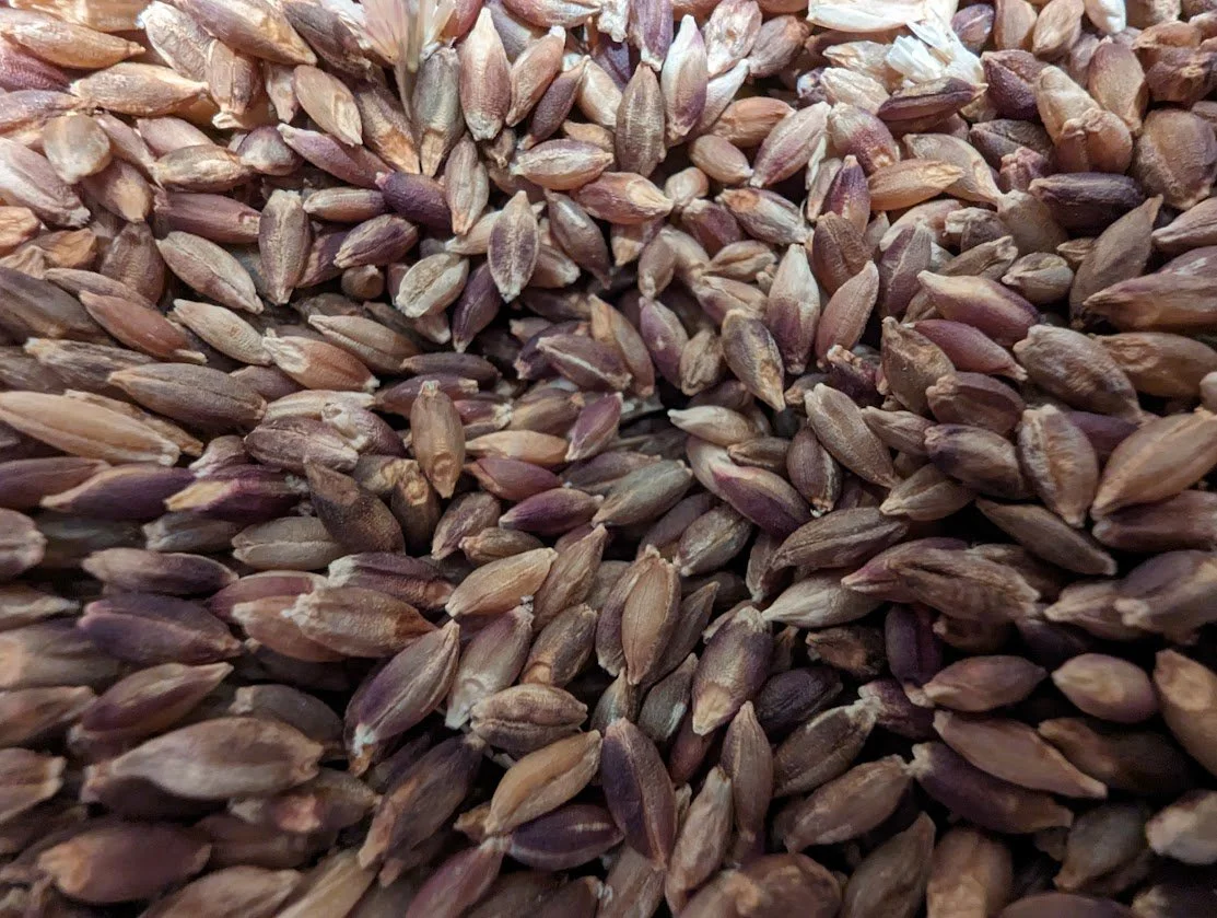 Close-up of numerous flaxseeds scattered together, showing their small, oval shape and brown to purplish color.