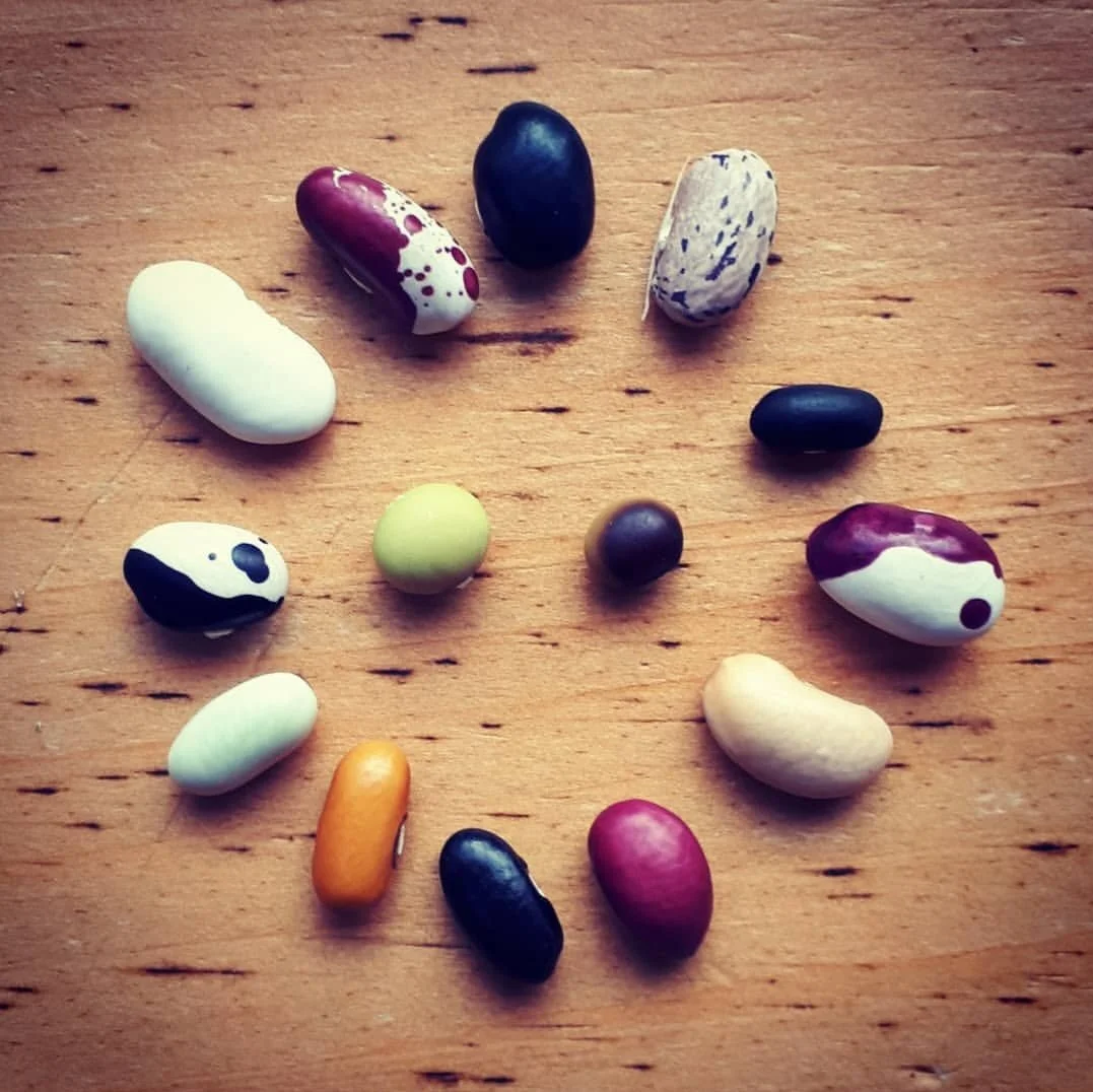 A variety of different beans placed on a wooden surface, arranged randomly.