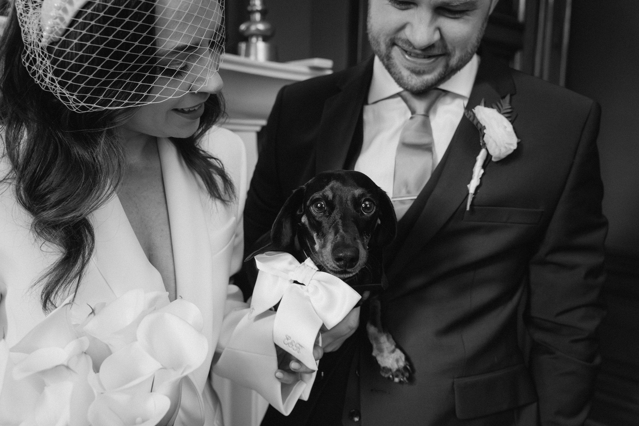 A black and white photo of a bride and groom holding a dog with a bow tie. The bride is wearing a veil and a dress with floral accents, while the groom is in a suit with a boutonniere. - captured by an Edinburgh wedding photographer