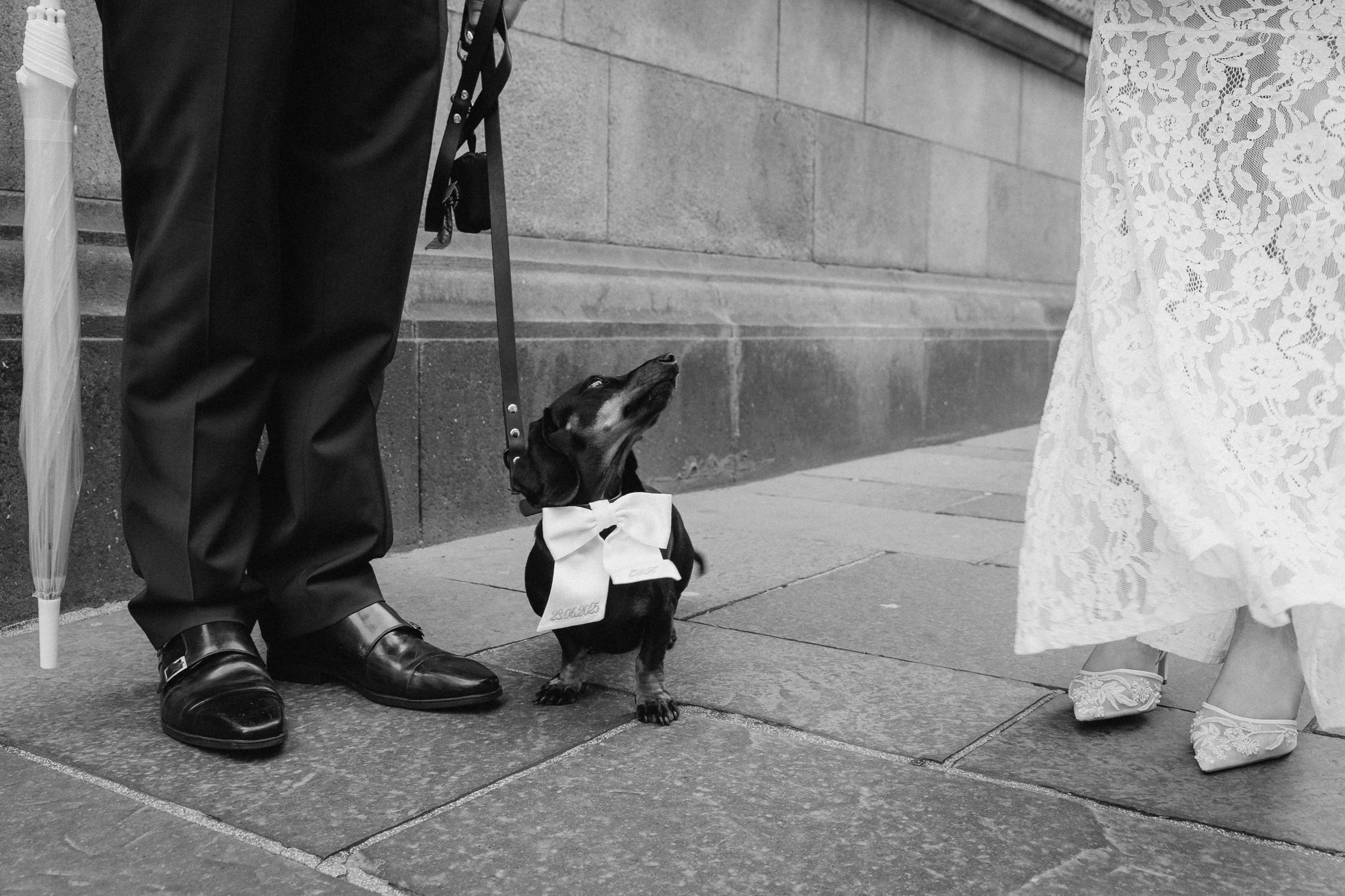 A small black and tan dog, wearing a bowtie, looking upward between a man's legs and a woman's dress on a stone-paved sidewalk. - captured by an Edinburgh wedding photographer