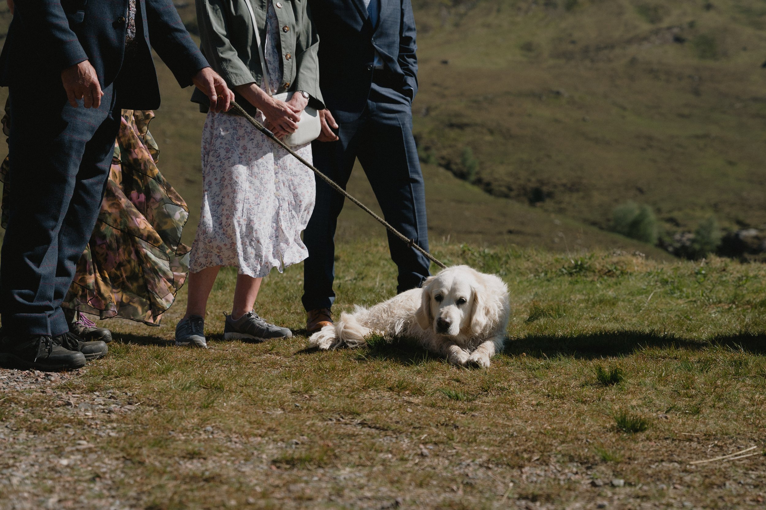 Three people standing outdoors on grassy terrain with a yellow Labrador Retriever lying on the ground, partially resting, during daytime. - captured by an Edinburgh wedding photographer
