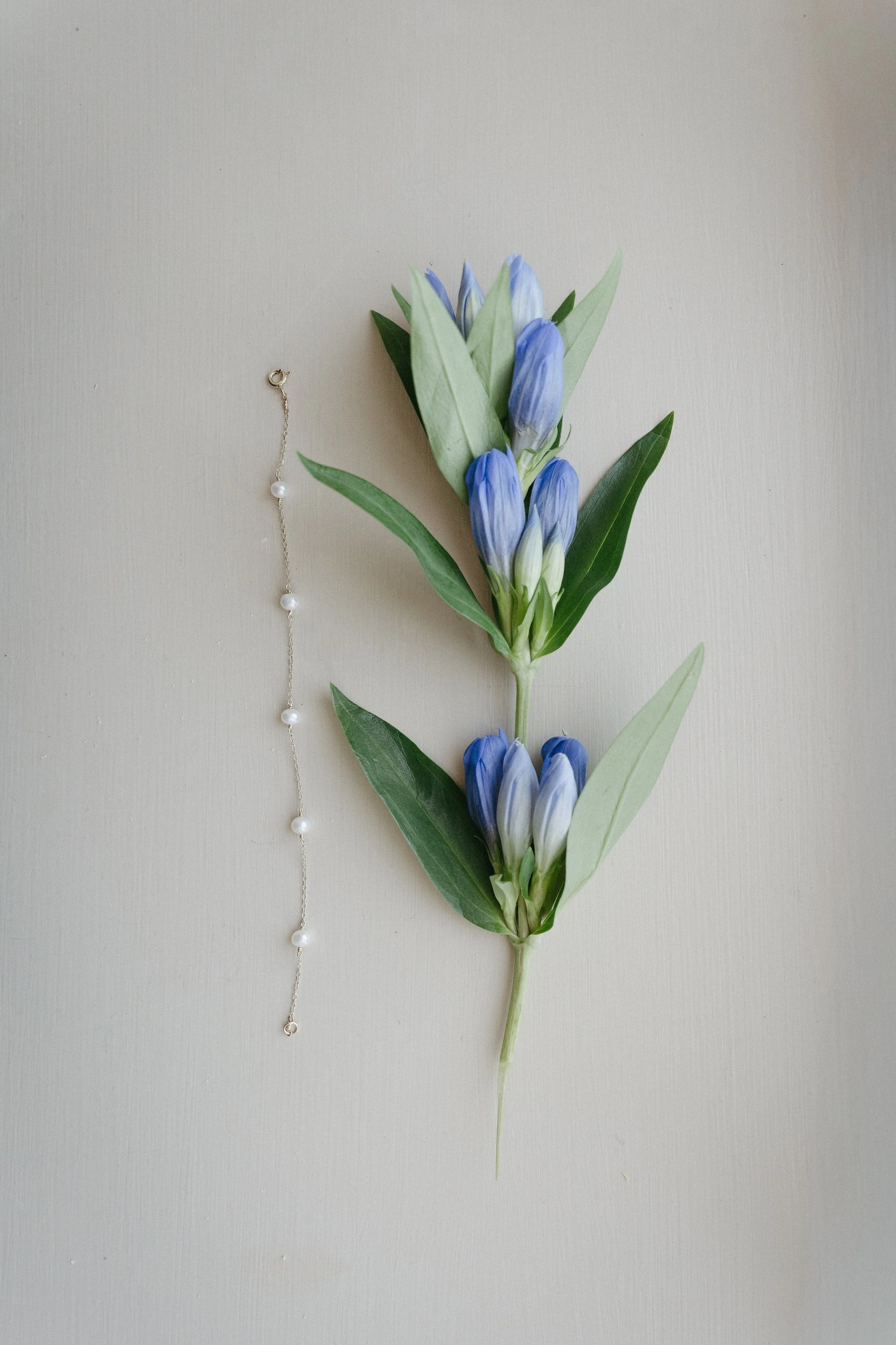 A sprig of blue and white flowers with green leaves and a pearl necklace against a light-colored background - captured by an Edinburgh wedding photographer