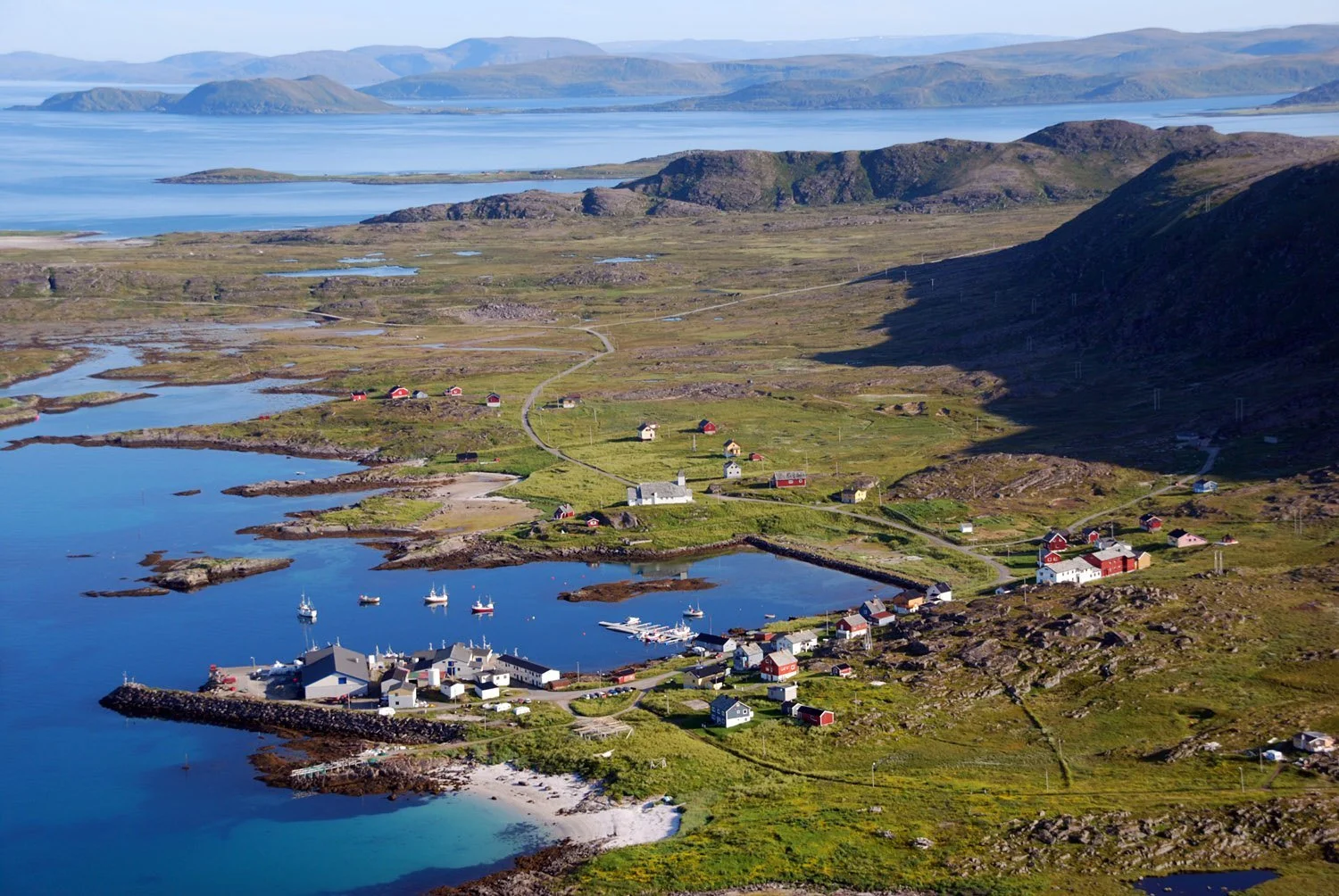 Inga arial in summer .jpg