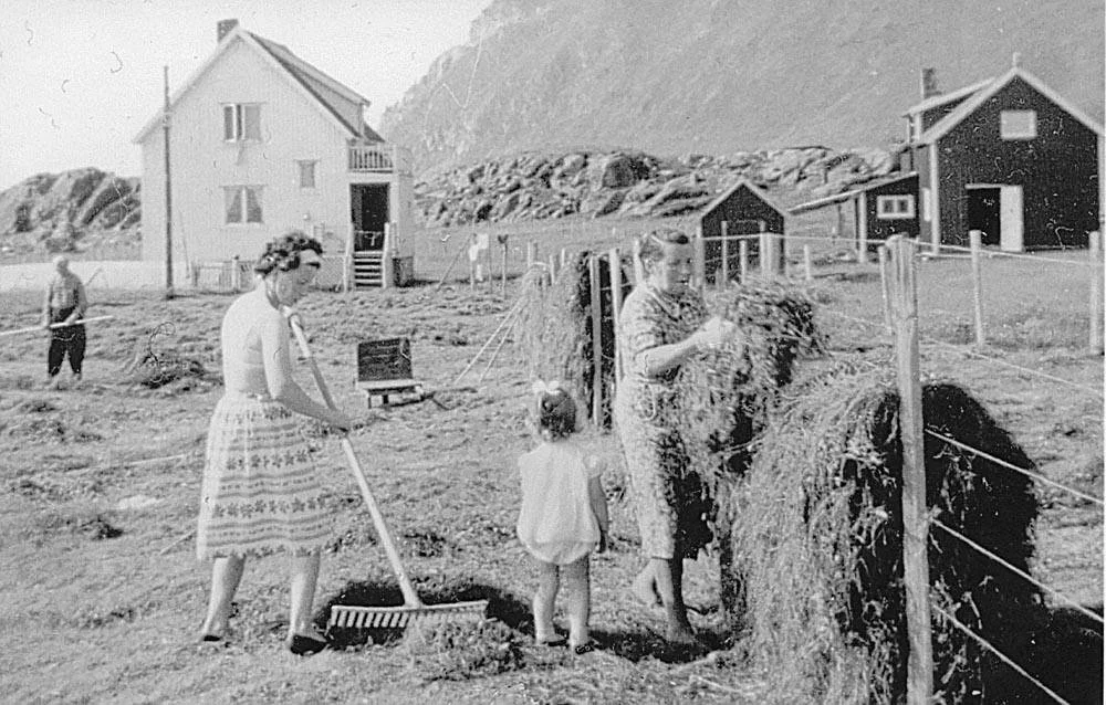 History on our farm people working  (1).jpg
