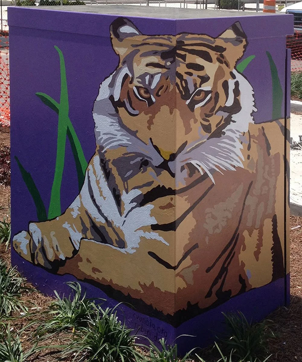 lsu tiger at tulane medical center on galvez