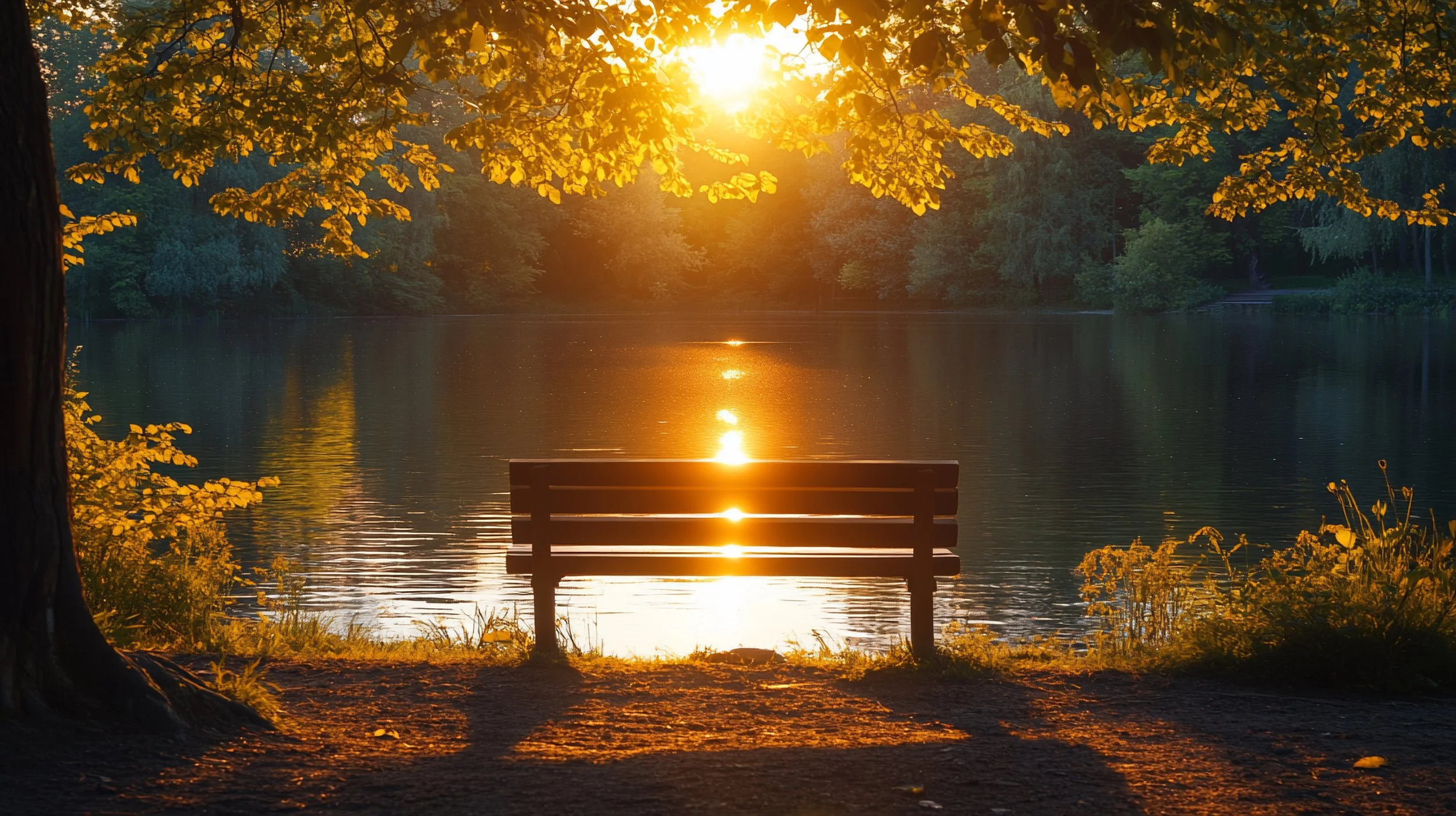 Quiet bench facing a lake at sunset, with trees and soft golden light reflecting on the water