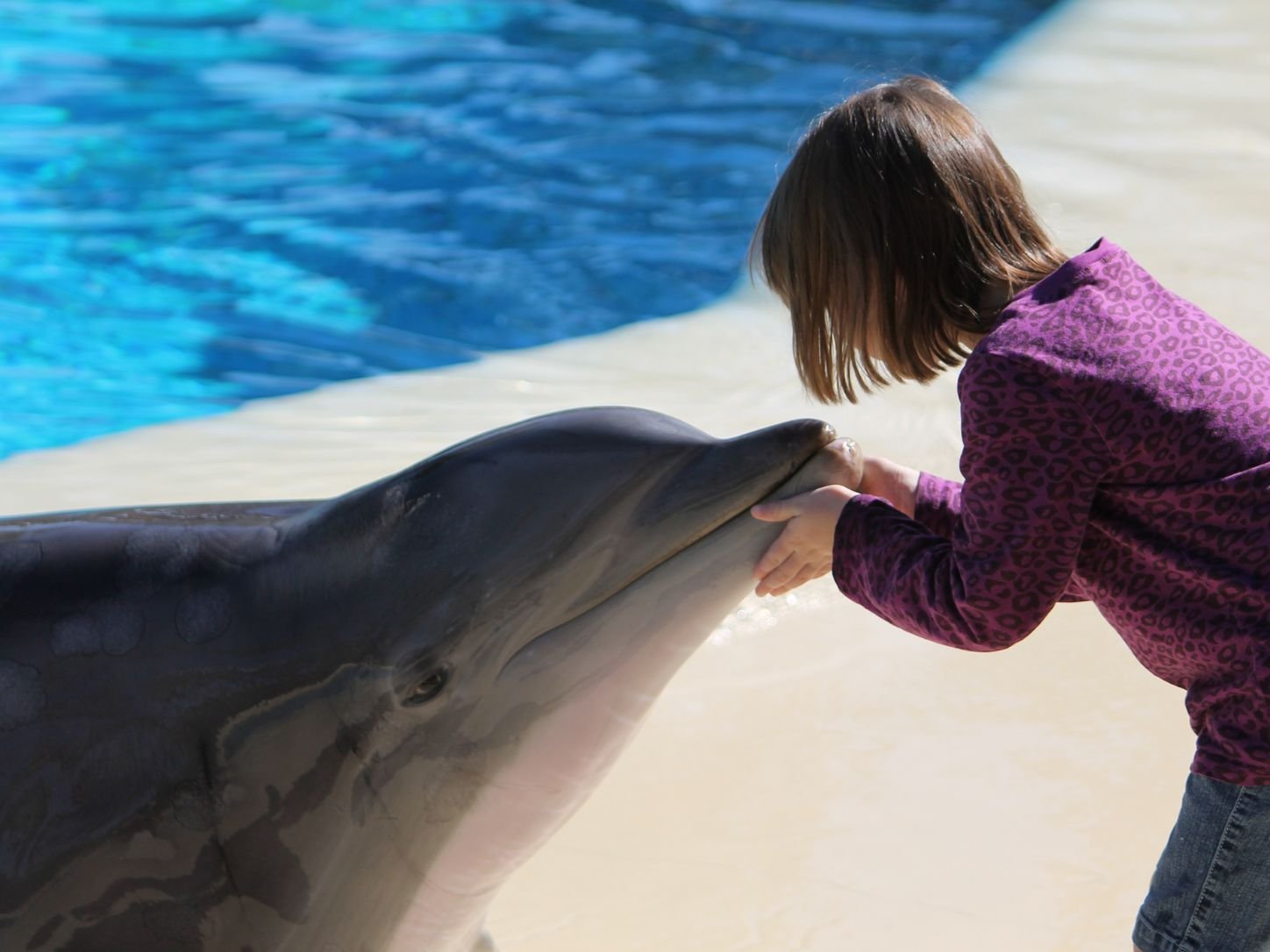 A young child gently holding a dolpnin showing a deep connection between them