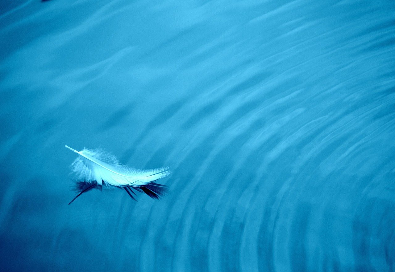 Image by wal_172619 from Pixabay.jpg