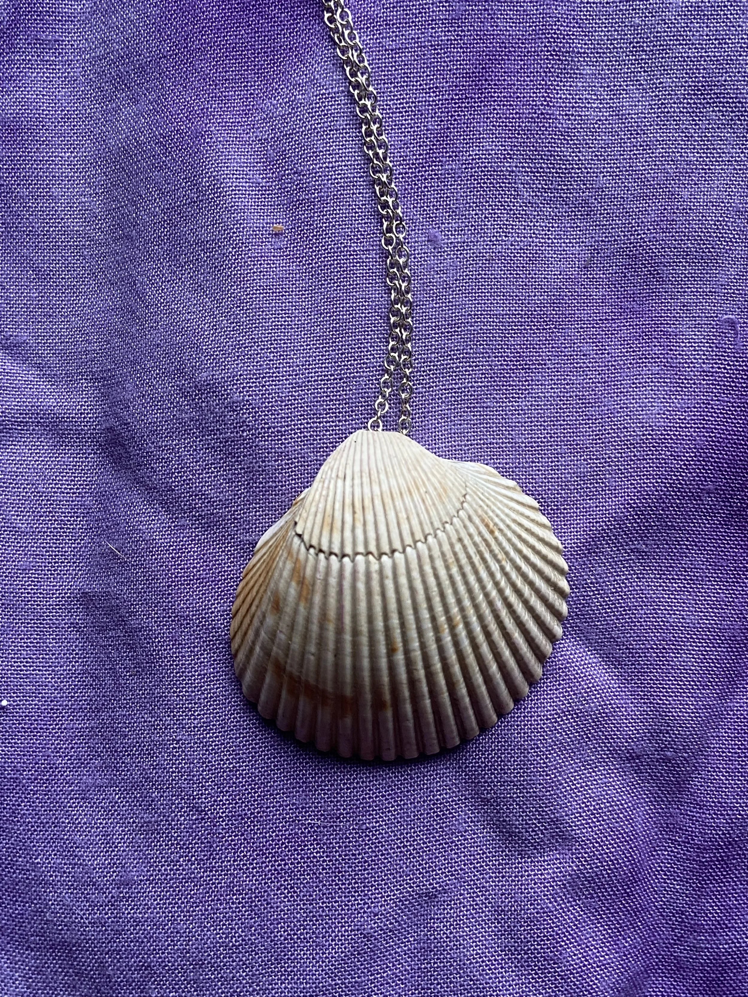 Seashell Necklace