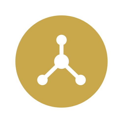 Icon of a network or molecule with three interconnected nodes inside a gold circle.