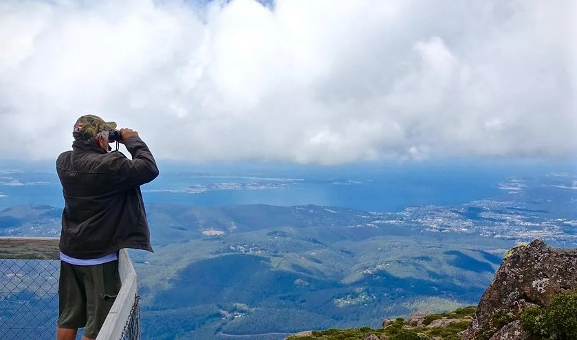 What Birdwatchers Can Teach Us About the Brain