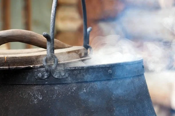 Medicine Spotlight: Ayahuasca