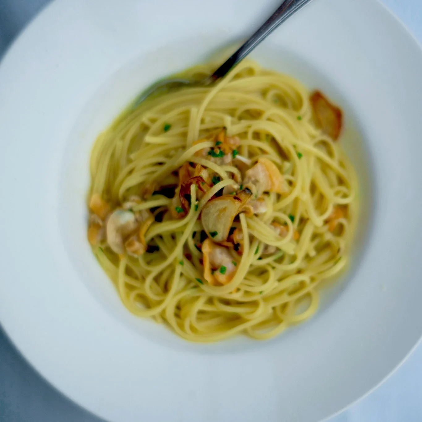 A white bowl of spaghetti with seafood, mushrooms, and green herbs.