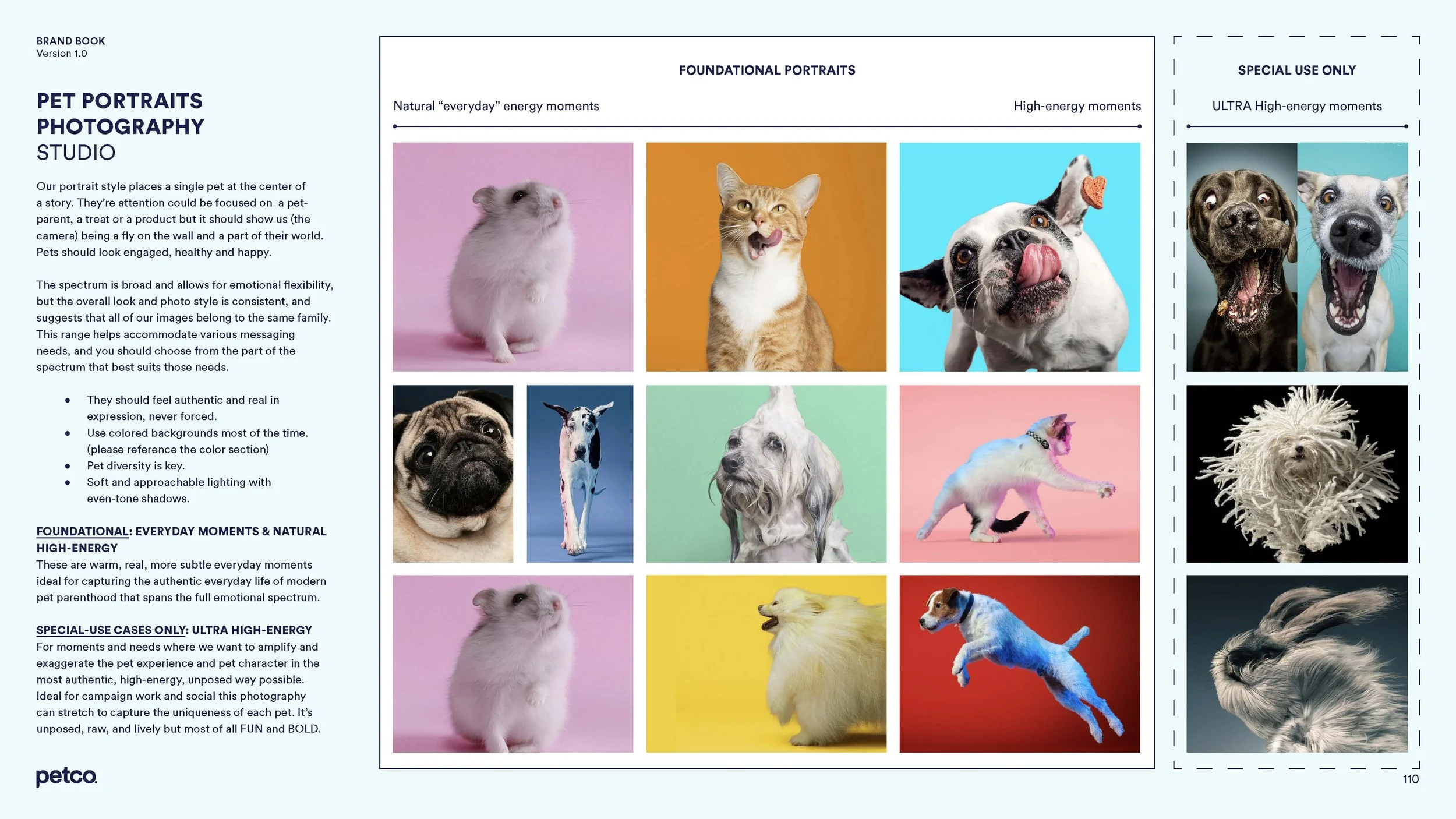 Rick_ Petco_BrandGuidelines_Complete-2_Page_05.jpg