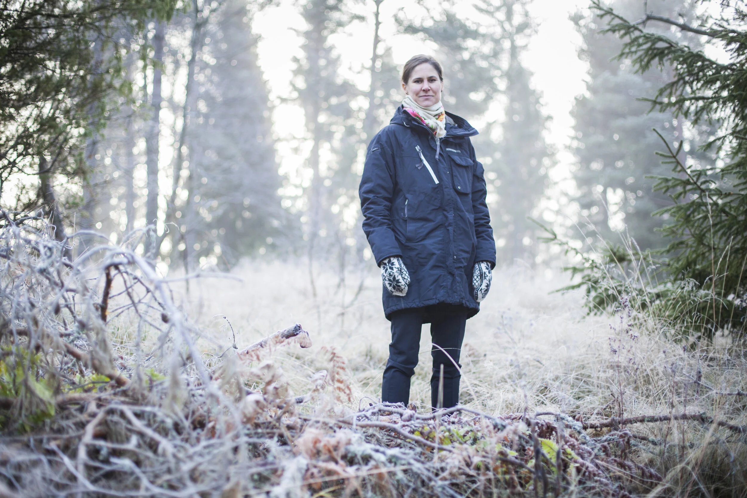 Johanna Sandahl skog.jpg