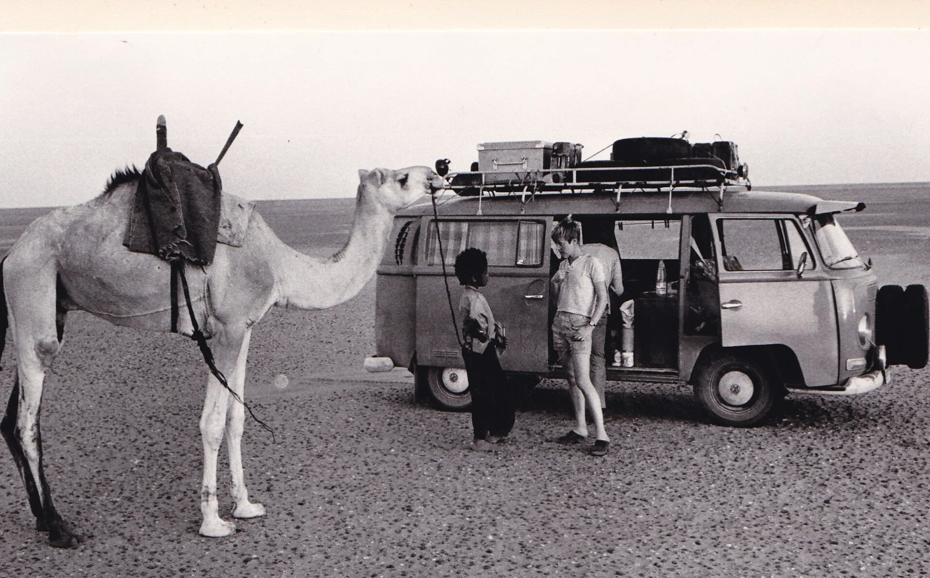 Sahara med kamelen-  kristina Öström.jpg