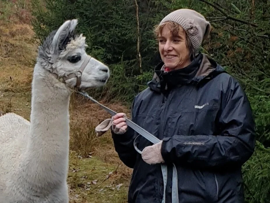 Ger du en hand får du en hel kram