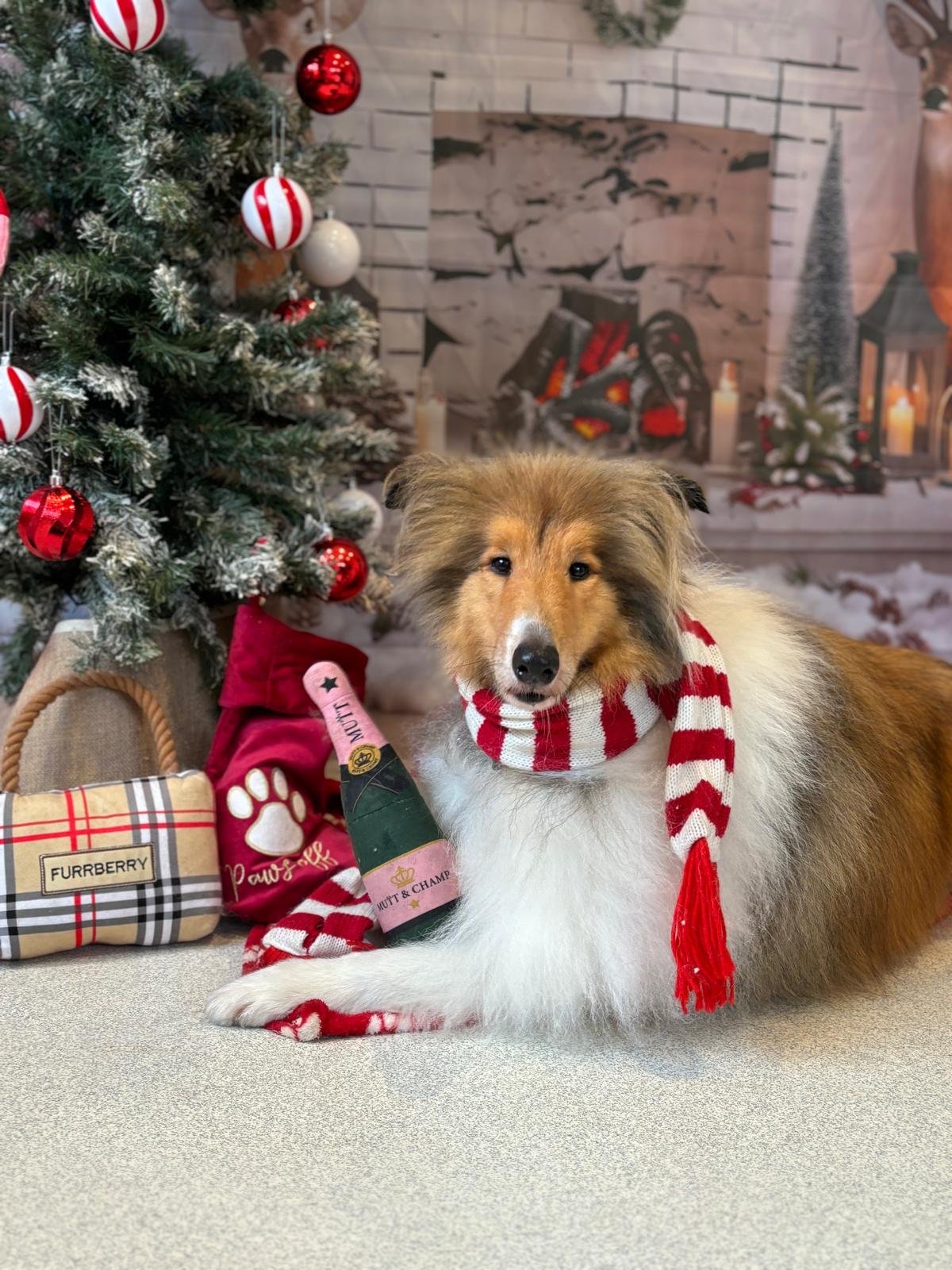 A dog wearing a red and white striped scarf sitting in front of a decorated Christmas tree with red and white ornaments and a background of a cozy fireplace scene. There are gift bags and a plush toy nearby.