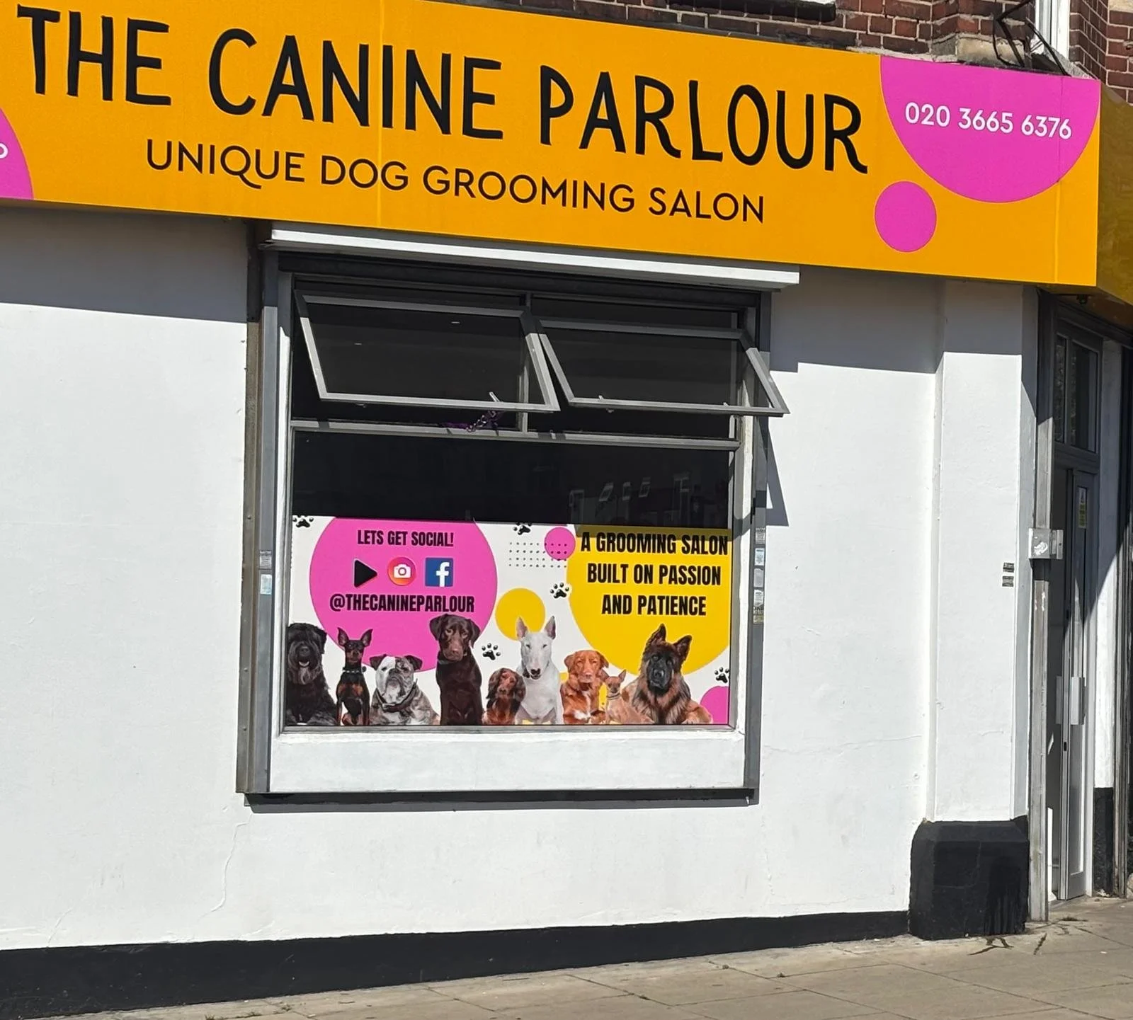 Sign for The Canine Parlour, a dog grooming salon, with a window display showing images of various dogs, social media info, and a yellow and pink color scheme.