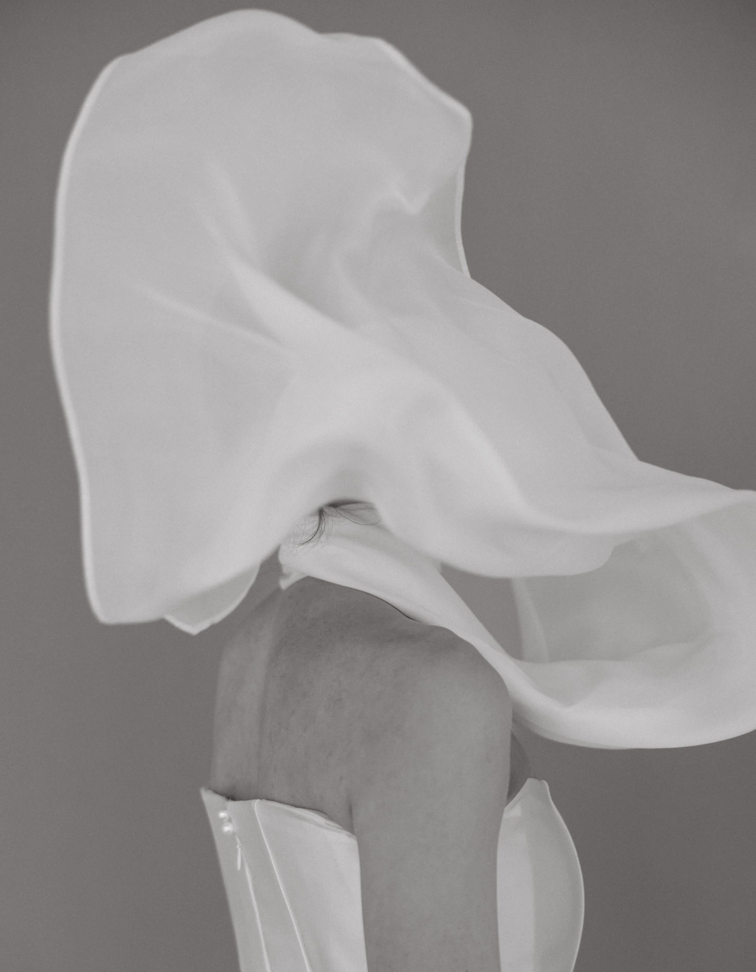 Good Morning Silk Scarf