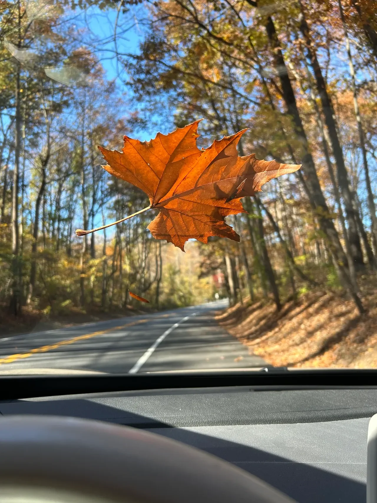 Embracing Clarity: Discovering Your Blind Spots