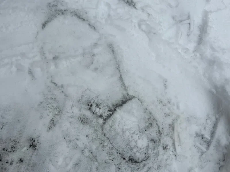 Blog Post Title Three