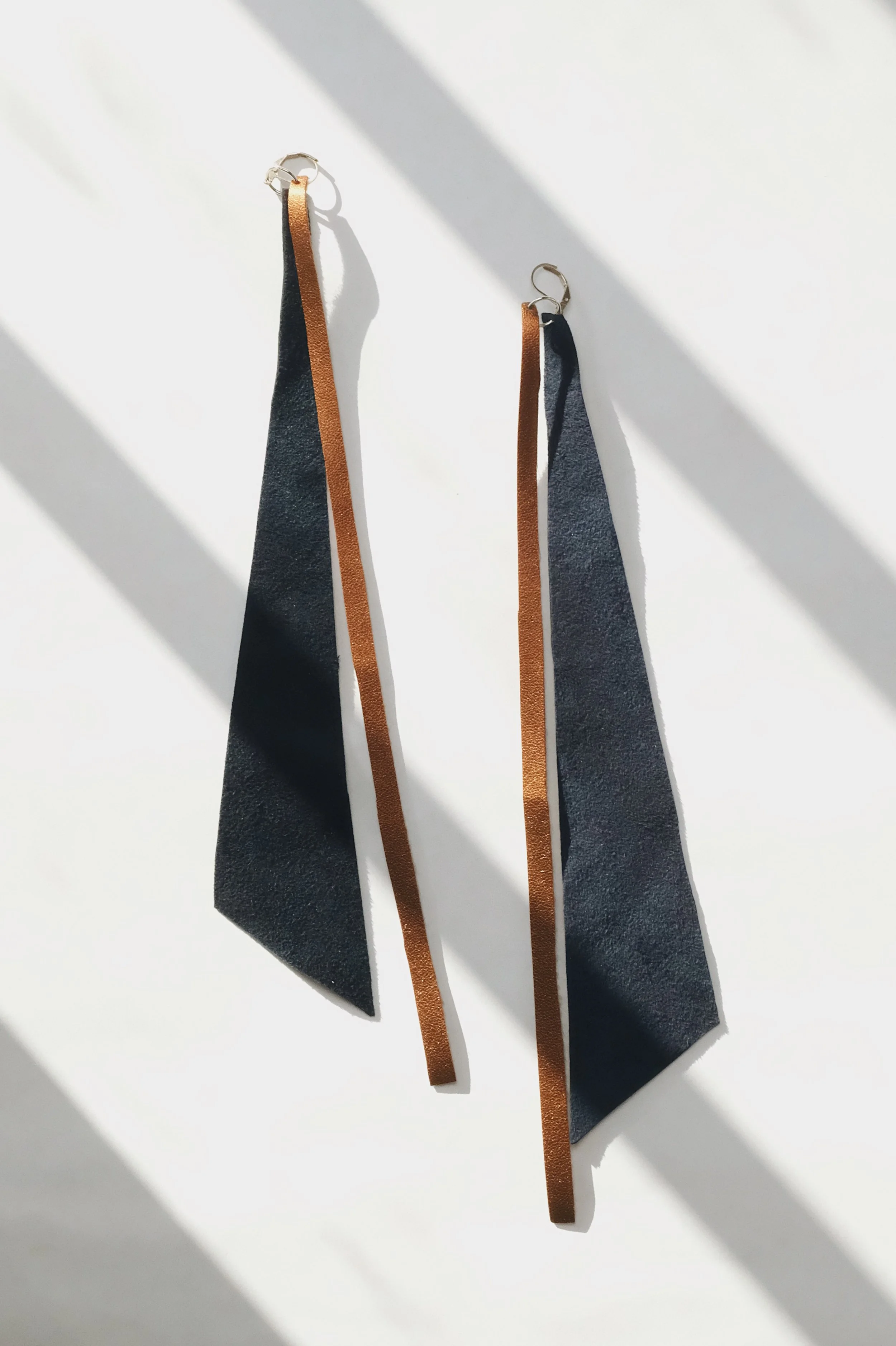 Blue and Brown Earrings