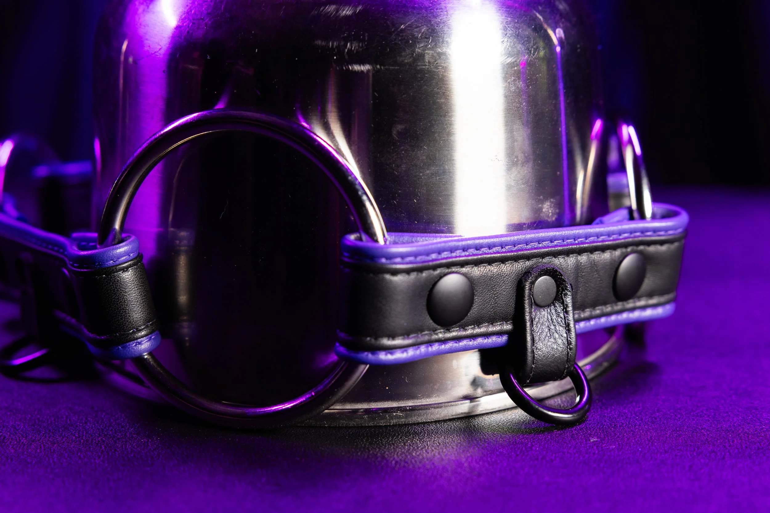 Amethyst - Black and Purple Styx Harness