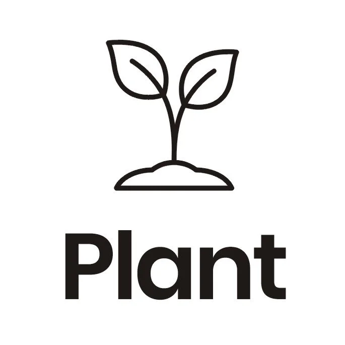 Line drawing of a small plant with two leaves growing from the ground, with the word 'Plant' underneath.