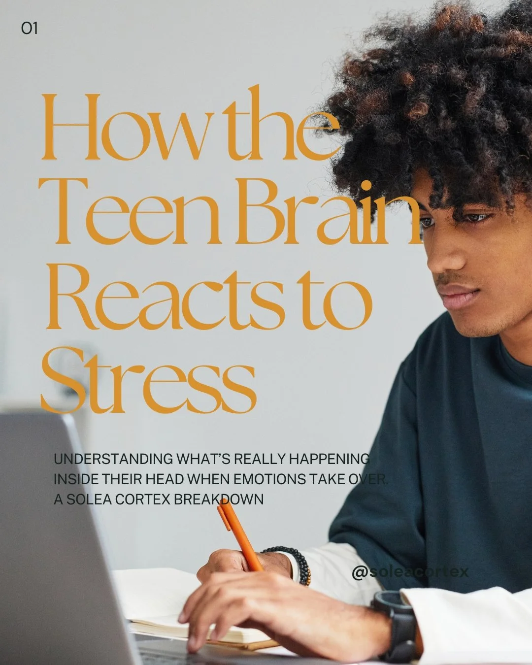 Book cover titled 'How the Teen Brain Reacts to Stress' featuring a young man with curly hair writing in a notebook, with a laptop nearby.