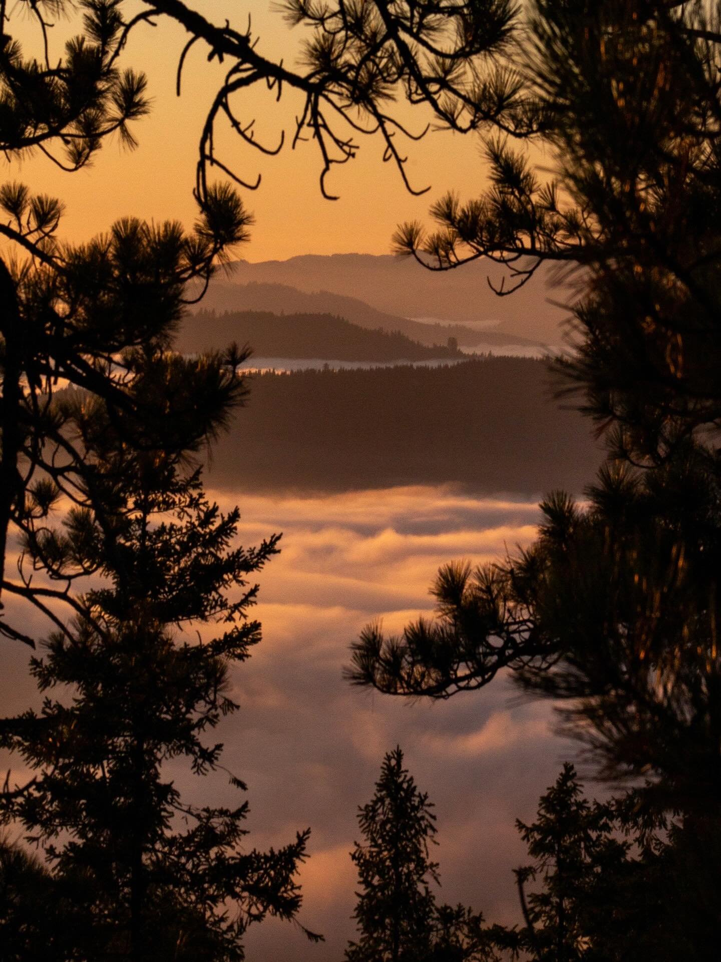 sunrises &amp; sunsets