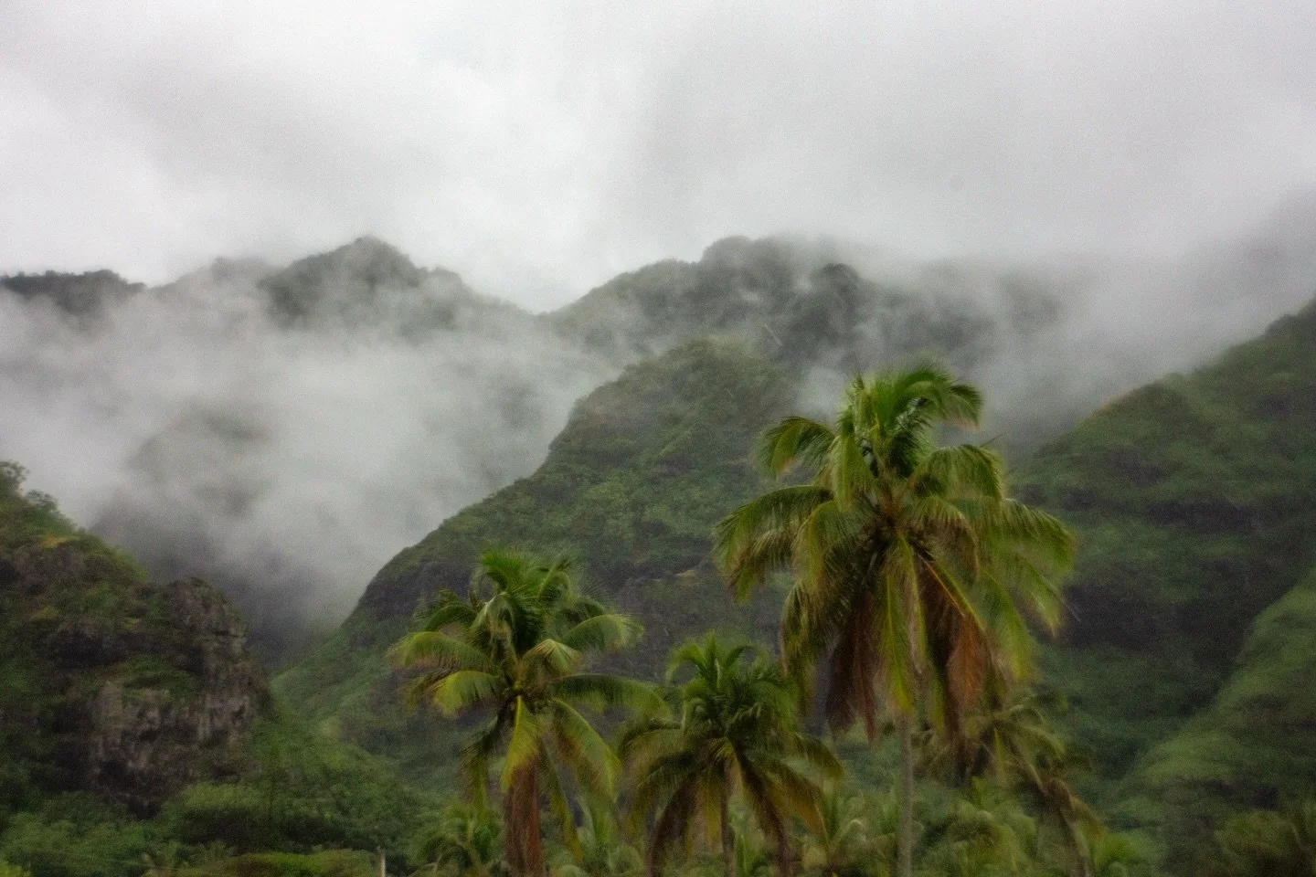 oahu on @pocketdispo