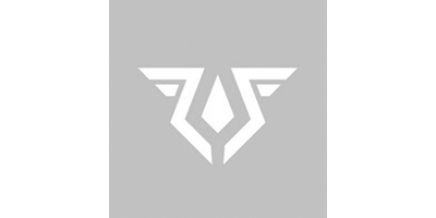 Logo Lyost Esport | Partenaire WolfyStudio 