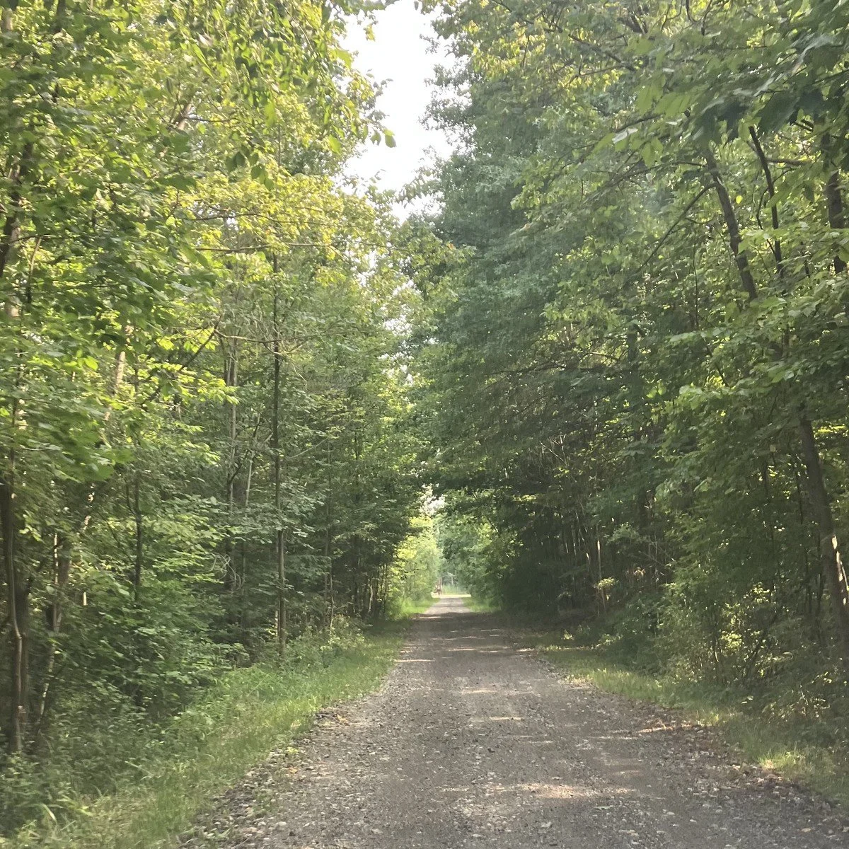 Leaving the Comfort Zone