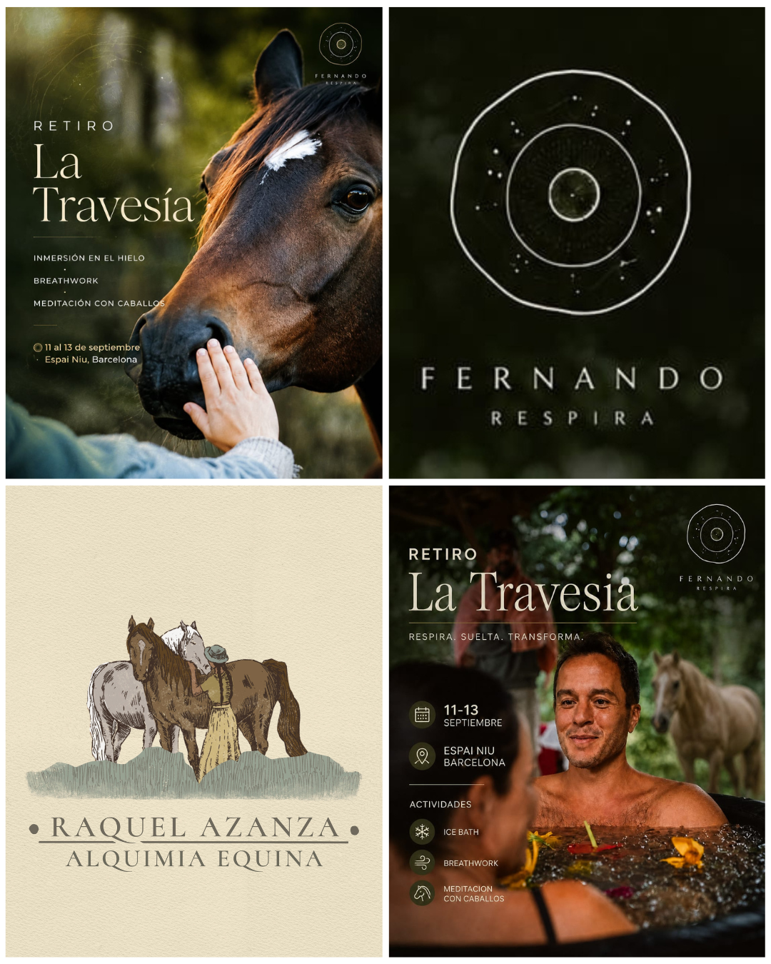 BREATHWORK & COHERENCIA CARDIACA CON CABALLOS de SEPT. 2026