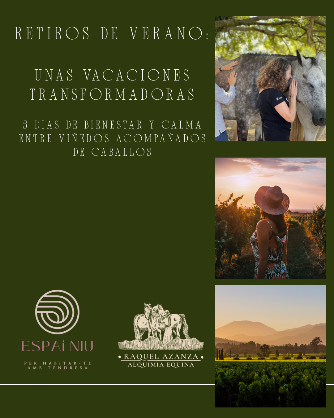 RETIROS DE VERANO: UNAS VACACIONES TRANSFORMADORAS- 5 Días de bienestar y calma entre viñedos acompañados de caballos