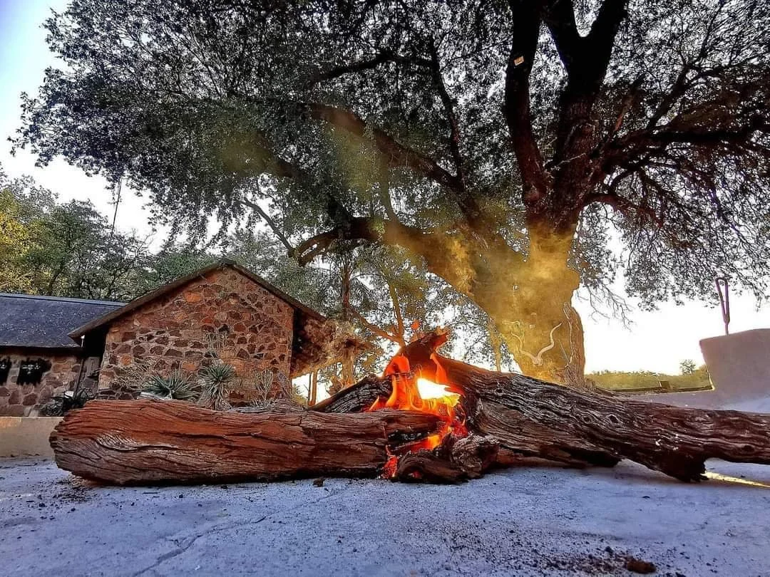 A small campfire burning logs on the ground outdoors with a large tree and a stone building in the background under a clear sky.