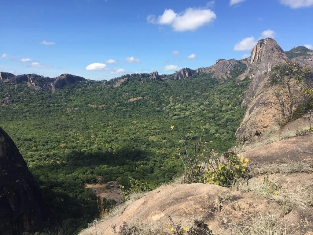 A scenic view of a green valley with mountains, rocks, and sparse vegetation under a blue sky with some clouds.