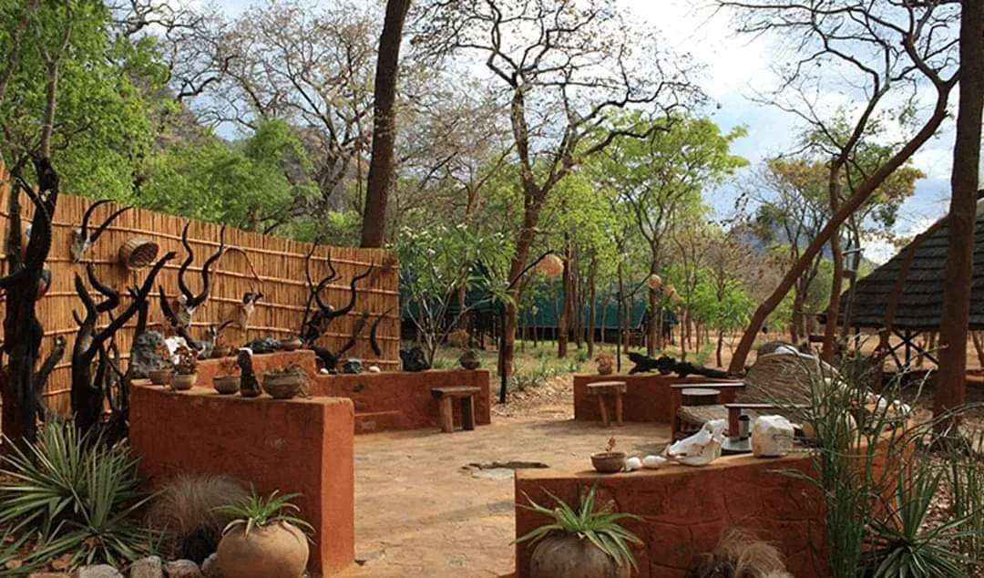 A serene outdoor setting with a dirt path, surrounded by leafless and green trees. Decor includes clay pots with plants, black decorative tree branches, and wooden benches. A bamboo fence and a thatched roof structure are also visible, creating a peaceful, natural atmosphere.