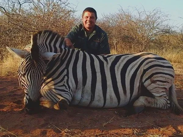 A man sitting behind a sleeping zebra lying on the ground in a savanna landscape.