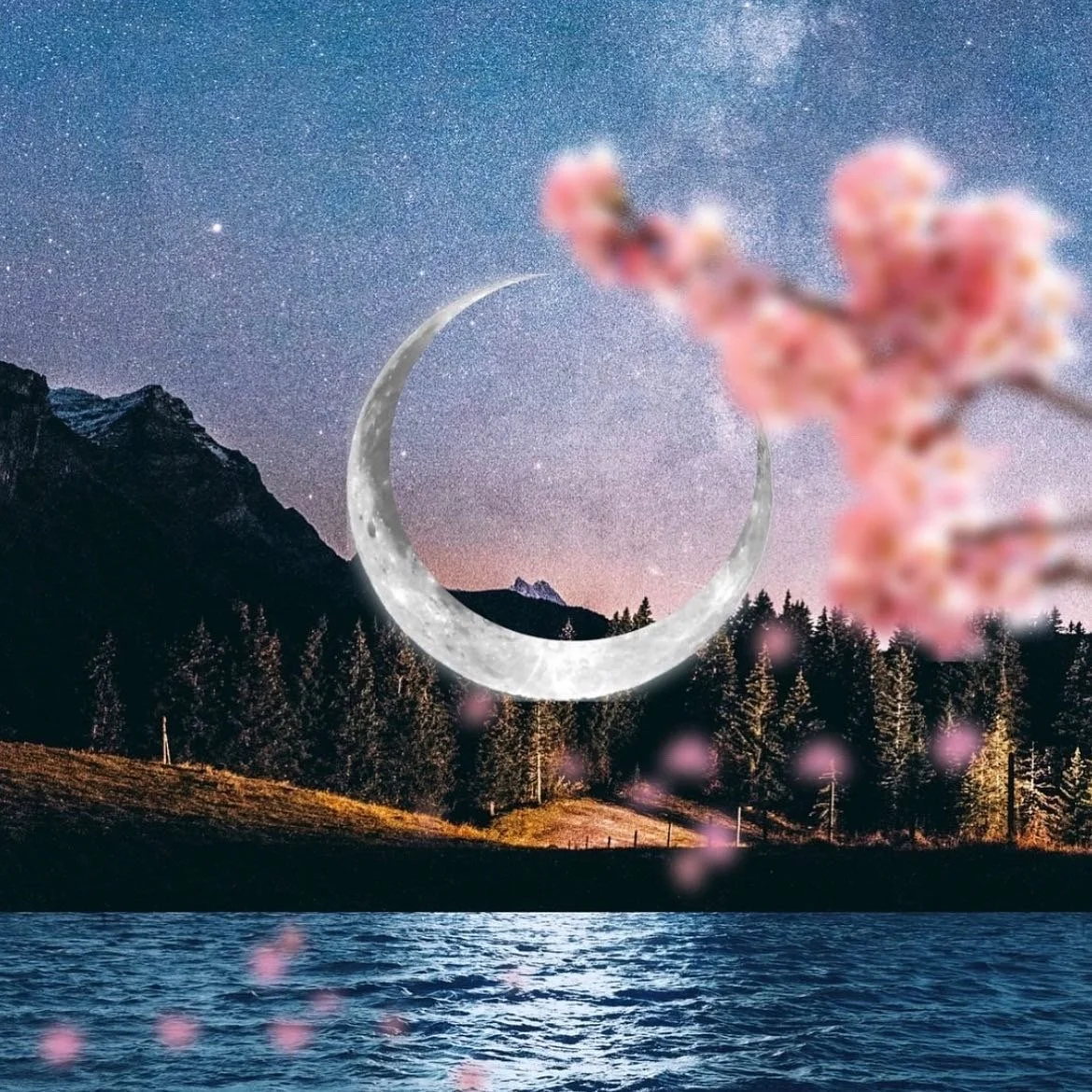 Winter Solstice Yin HHY RVA