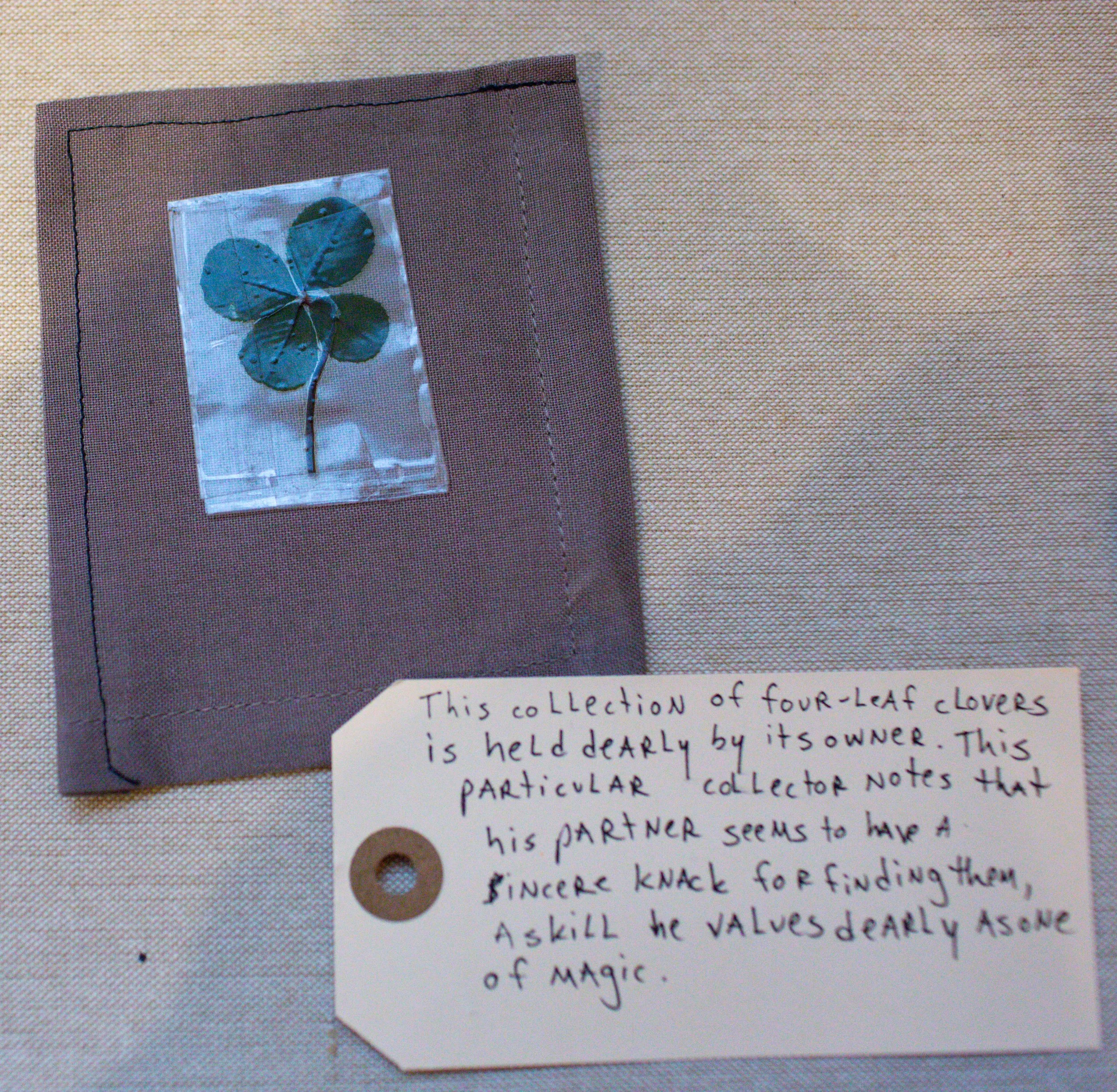 A collection of four-leaf clovers displayed in a plastic sleeve, attached to a brown fabric background. A handwritten note explains that the collection is held dearly by its owner and mentions a partner's sincere attempt to find such clovers.