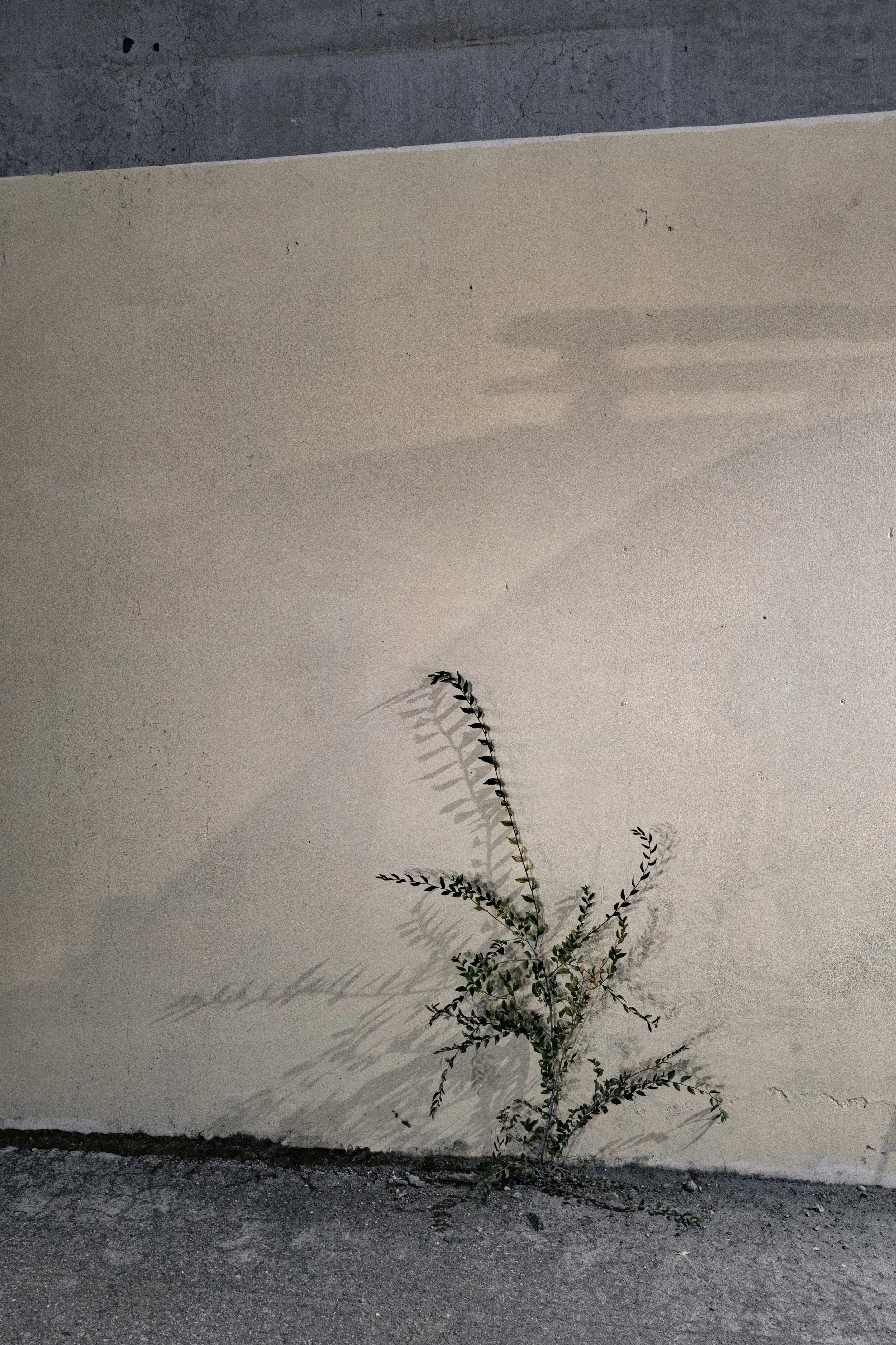 L1140037.jpg