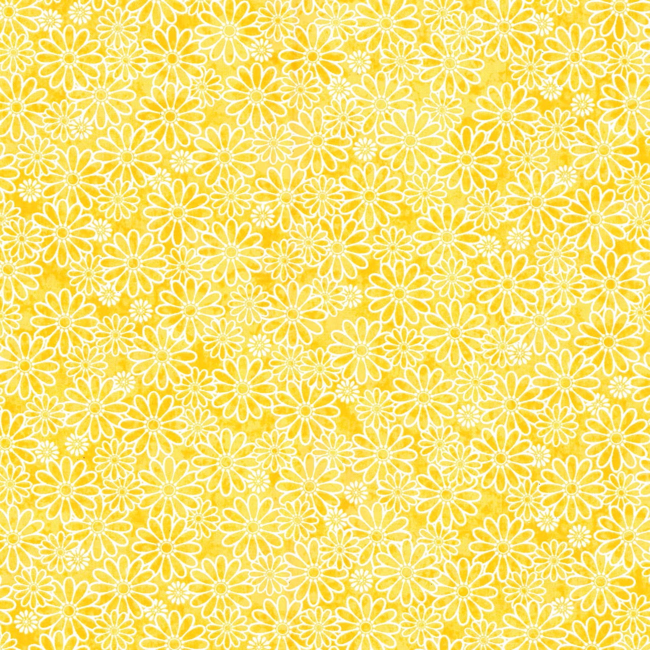 Yellow Daisies.PNG (Copy)