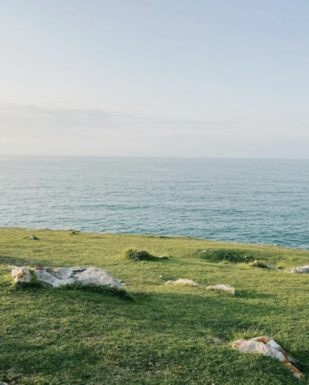 Green grassy shoreline with rocks, overlooking a calm ocean under a clear sky.