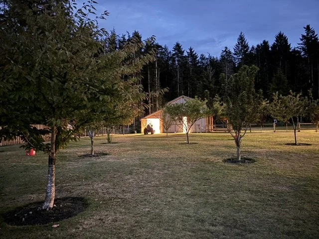 Overnight Stabling