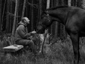 A person sitting on a log in a forest, feeding a horse with a treat.