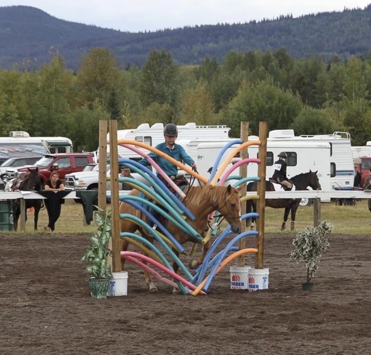 Harmonic Horsemanship - Day 2 Only